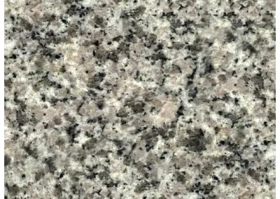 107 Granito Gris Estrella