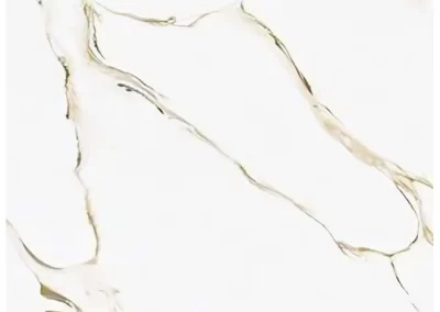 109 Cuarzo Zebra Gold